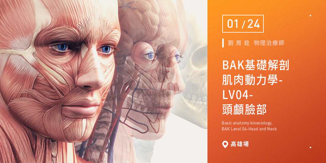 BAK基礎解剖肌肉動力學-LV04-頭顱臉部